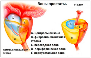 Препарат Урорек производится в форме капсул