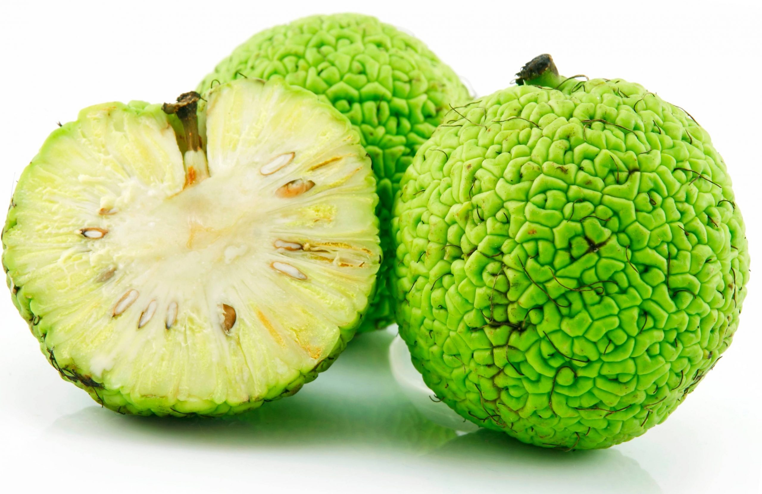 Sliced Osage Oranges (Maclura) Isolated on White Background