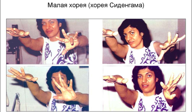 5 главных признаков