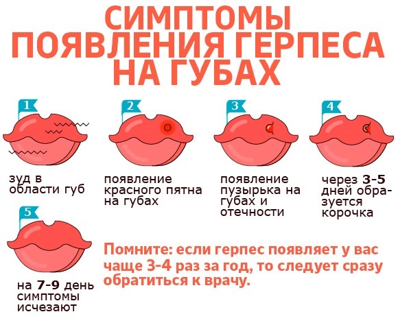 Масло чистотела. Свойства и применение при кожных и грибковых заболеваниях, в косметологии, гинекологии