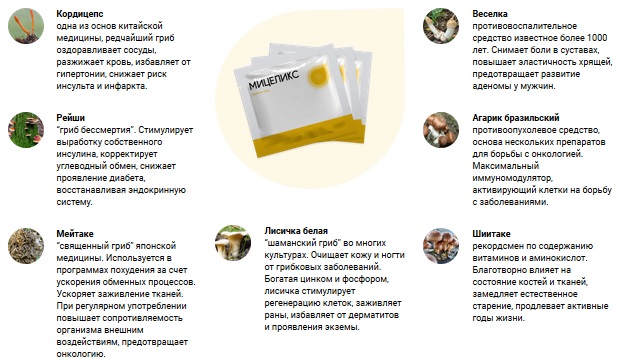 Состав грибного сбора