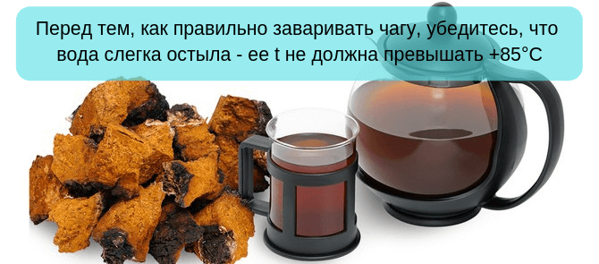 Настои из чаги