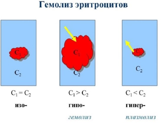 Озонотерапия внутривенно. Отзывы врачей, показания и противопоказания, польза и вред, курс лечения, можно ли проводить при беременности