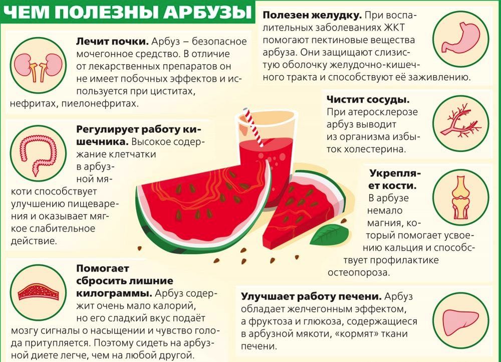 Полезные свойства арбуза