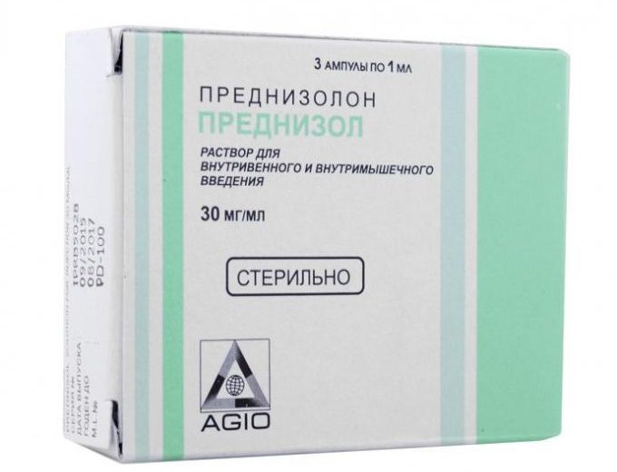 что делать если забыли дать собаке Преднизолон