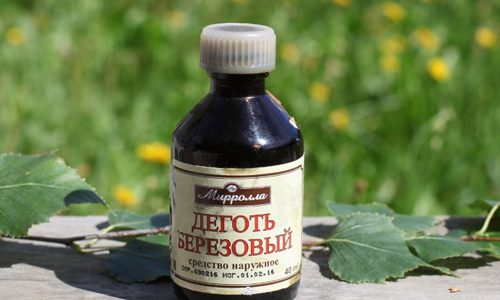 Бутылочка березового дегтя