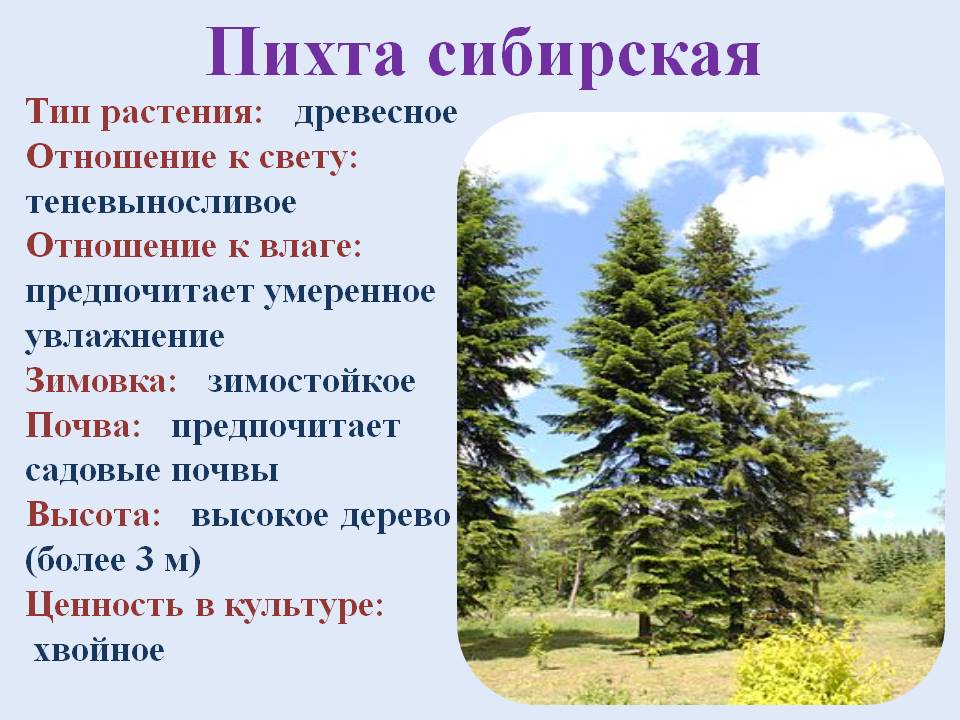 Лечение псориатический артроз -