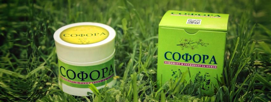 Софора