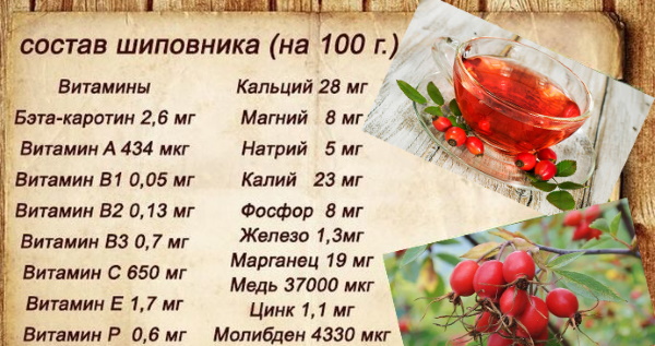 Шиповник при панкреатите поджелудочной железы. Можно или нет при обострении, польза и вред