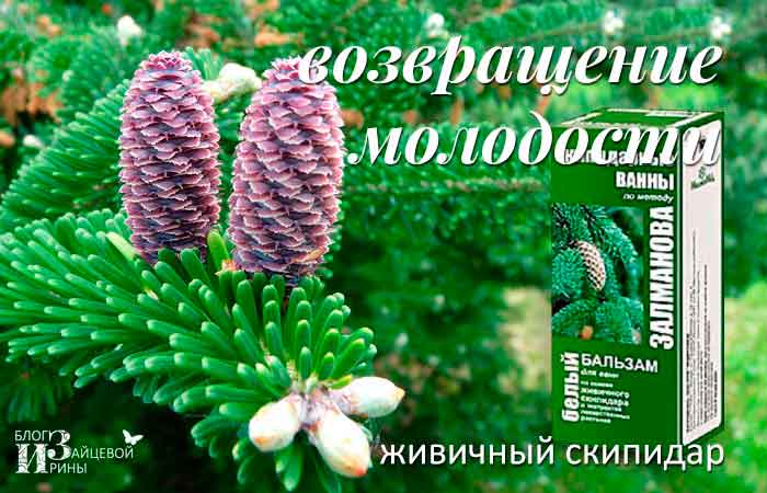 Польза для здоровья и красоты
