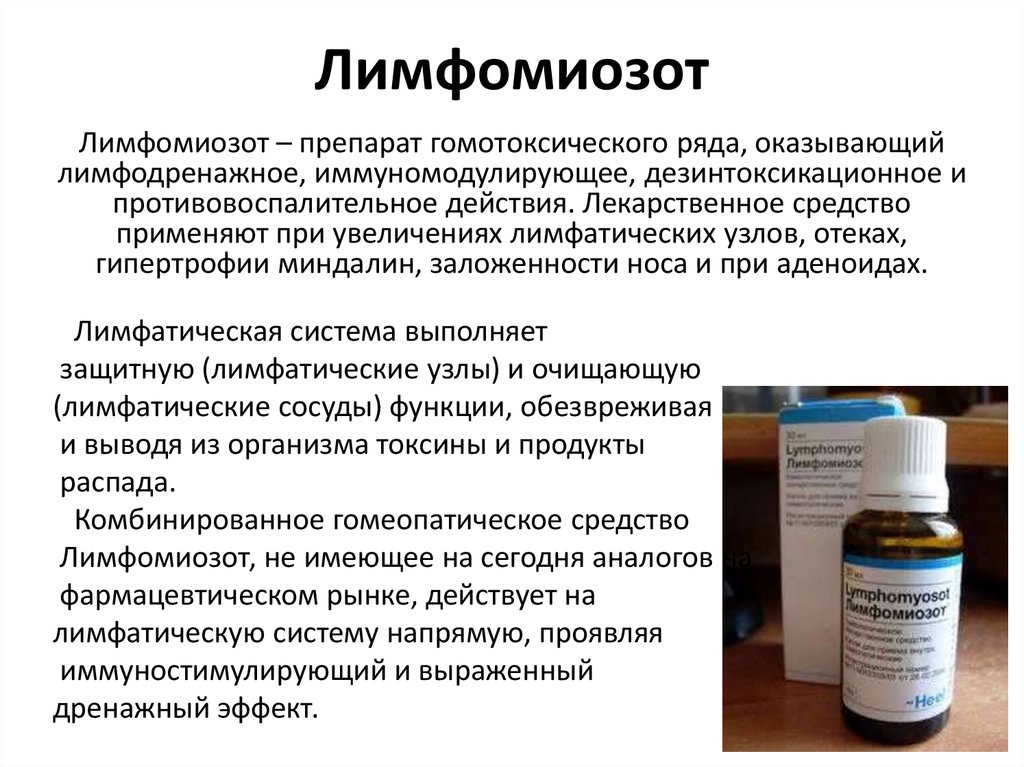 Лимфомиозот - сильное гомеопатическое средство со свойствами иммуномодулятора.