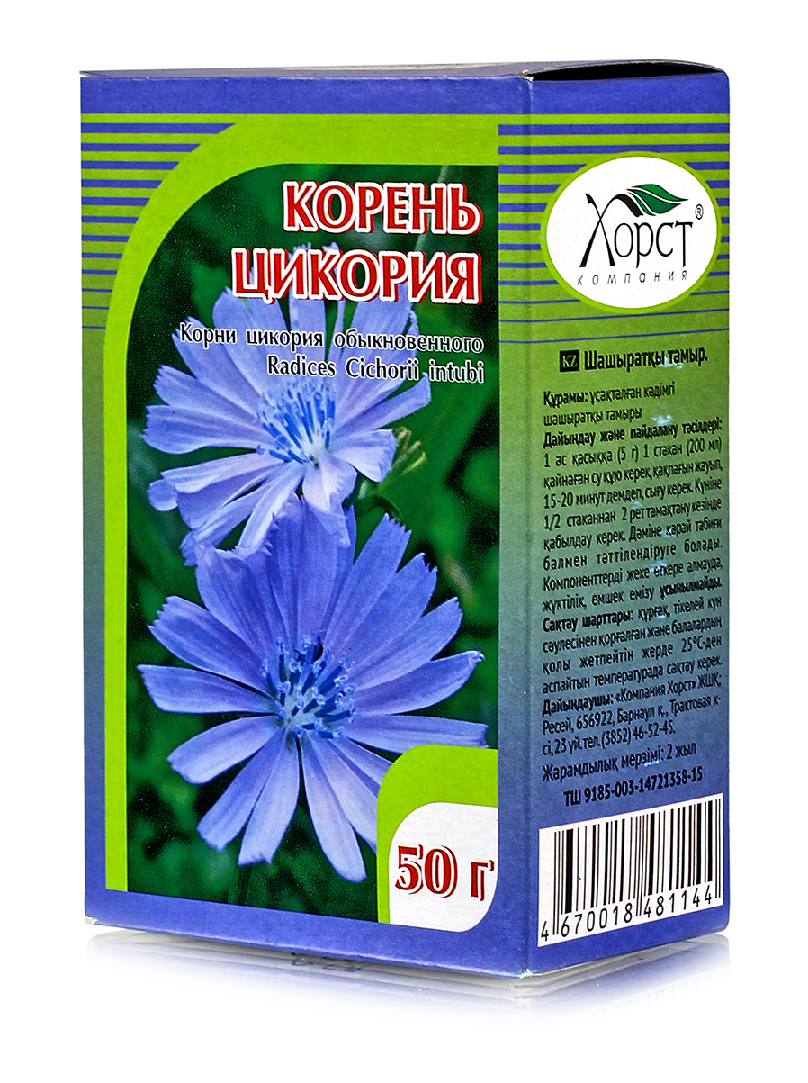 корень цикория лечебные свойства