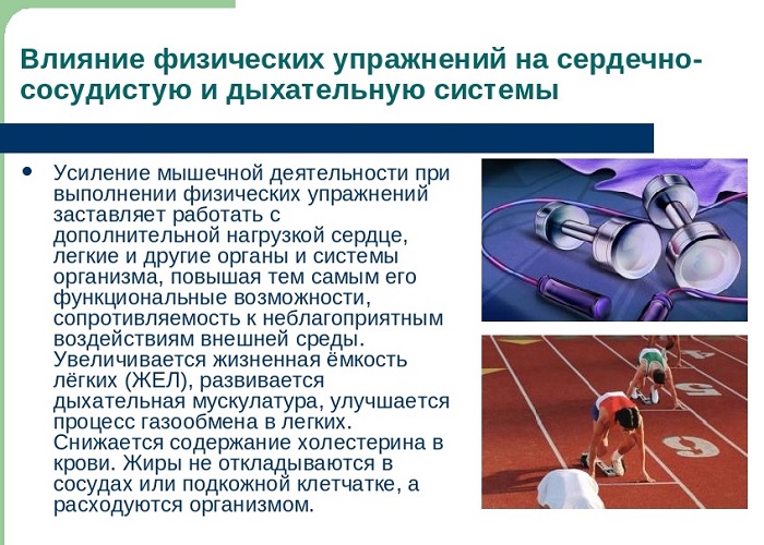Как физические упражнения влияют на организм и здоровье человека