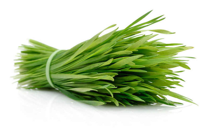 vetiver