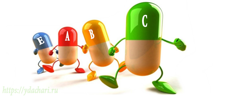 kak-uznat-kakih-vitaminov-ne-hvataet-v-organizme