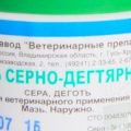 Как применять березовый деготь при лечении псориаза?
