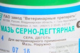 Как применять березовый деготь при лечении псориаза?