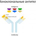 Моноклональные антитела при псориазе