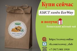 Кыст аль-хинди — как эффективно принимать растение для укрепления иммунитета взрослым и детям