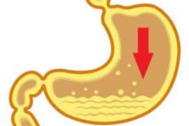 Очищение организма полынью в домашних условиях