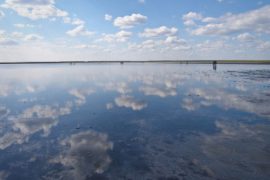 Грязь с соленого озера при псориазе