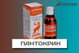 Что такое панты