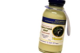 Как использовать барсучий жир при воспалении лёгких ⚕️