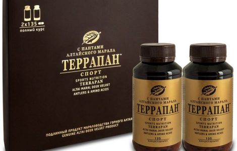 Панты марала – уникальная алтайская продукция